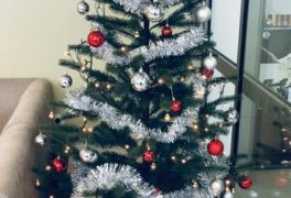 Vánoční atmosféra v Městských lázních ❄️🎄⛄️🎄❄️ .
