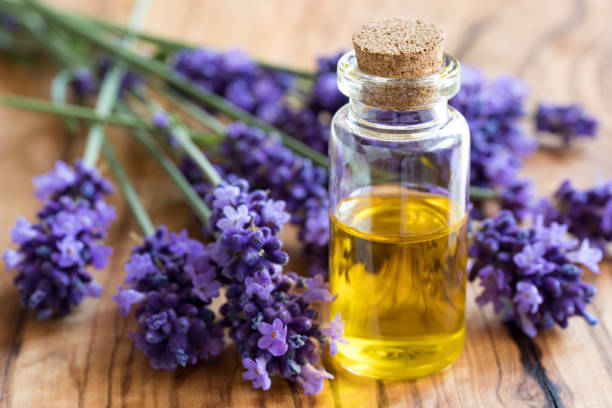 19.6. Levandulový den ve wellness se saunovým rituálem